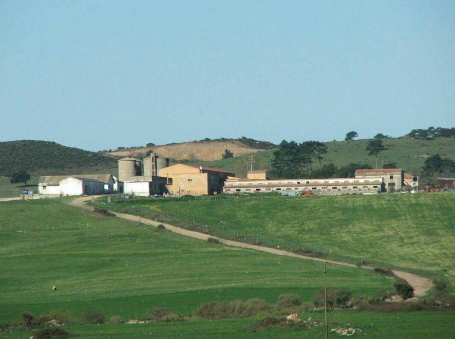 Vertenza aperta sul caso Mamone 
