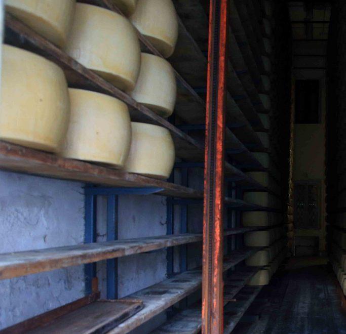 Una sola banda dietro ai colpi nei due caseifici