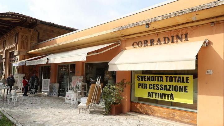 La storica profumeria Corradini sul viale Verdi (Foto Nucci)