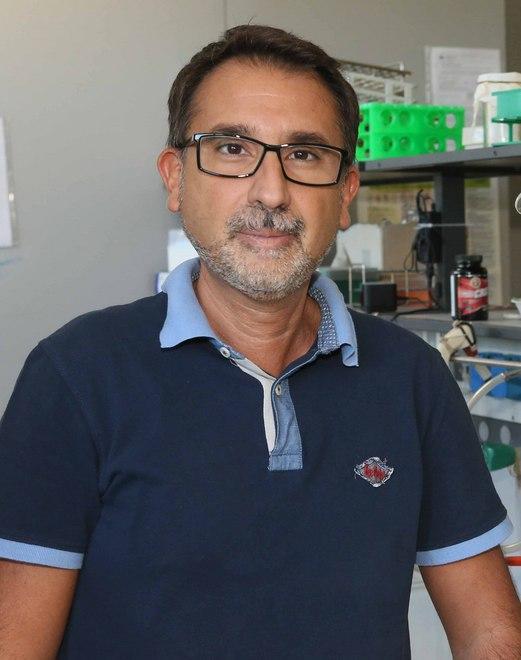 Gorgonzola ritirato dal Conad, l’esperto: «Nessun allarmismo ma fate attenzione» 
