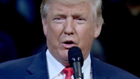 Biblioteche, un lungo week end di iniziative per tutti