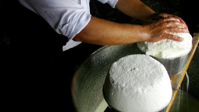 Ollolai, boom di richieste per la scuola di Fiore sardo