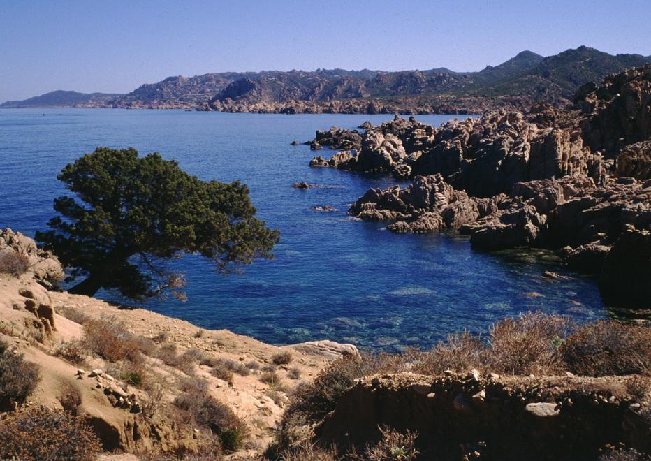 Tra terra e mare, Trinità scommette sull’oasi faunistica 