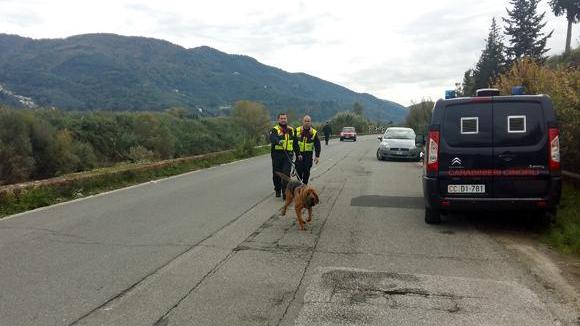 Pisa, trovato cadavere di un giovane in una ex cava di sabbia di Vecchiano