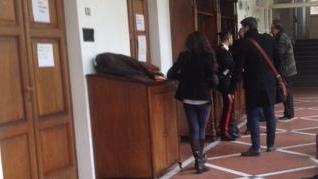 «Ha cercato di violentarmi»: assolto