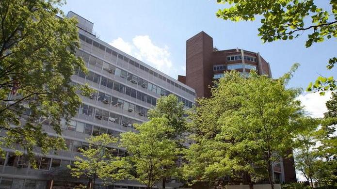 Ilaria, da Lucca a New York nel segno della ricerca