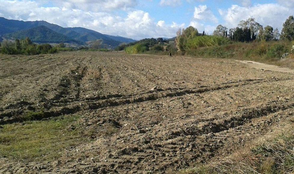 Siccità, nuovo Sos della Baronia 