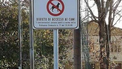 Deiezioni dei cani, via alle multe