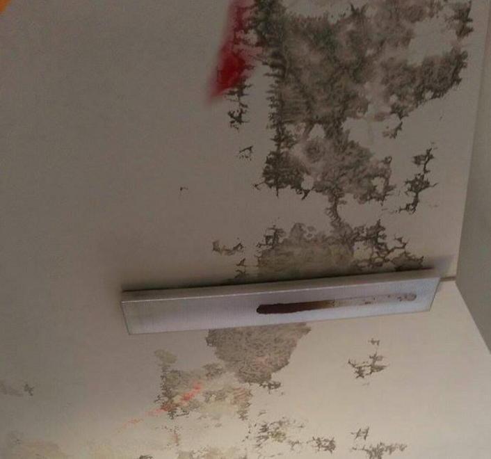 Genitori in allarme per la staticità del soffitto della scuola