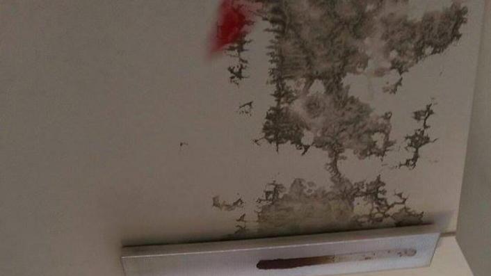 Genitori in allarme per la staticità del soffitto della scuola