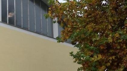 Via alla nuova palestra per l’Isit