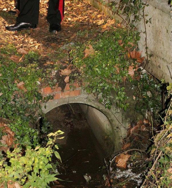 Muore a 29 anni nel fuori strada 