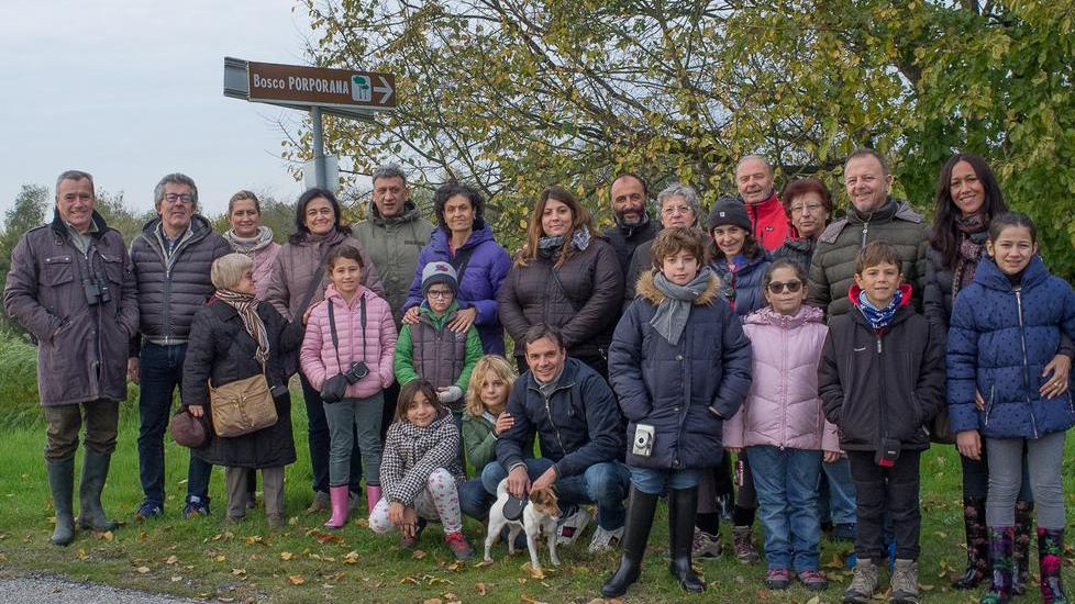 Le foto più belle del bosco