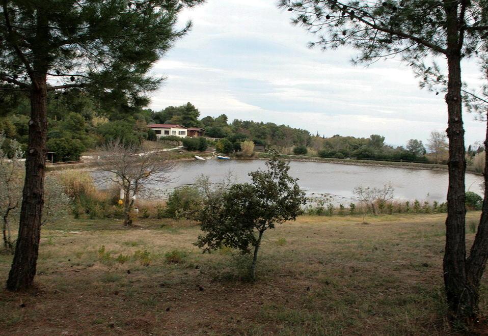 Area verde sul laghetto, flop del progetto 