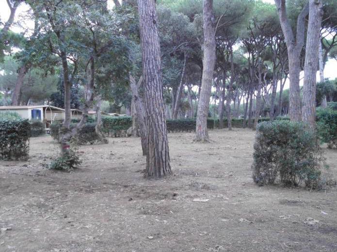 Nuovo esposto in Procura sul villaggio Park Albatros 