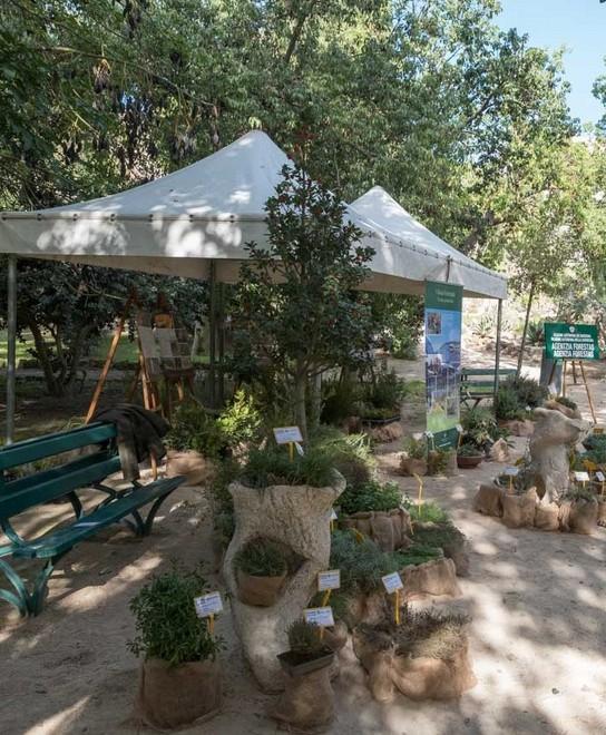 L’Orto botanico compie 150 anni 