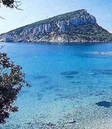 Acqua non potabile a Golfo Aranci 
