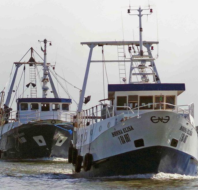 La pesca è in stato di agitazione 