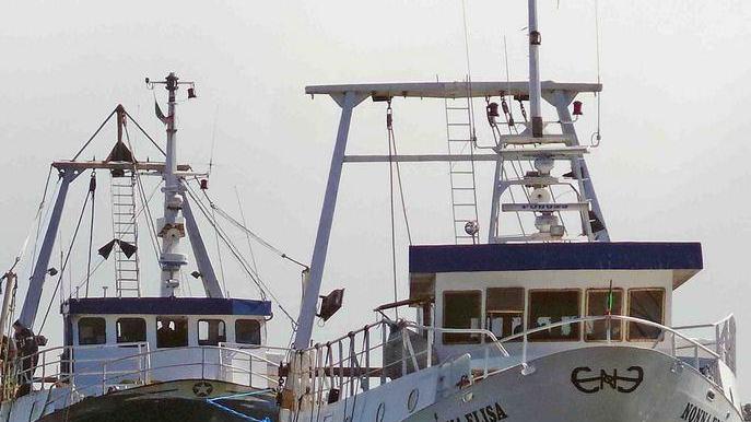 La pesca è in stato di agitazione