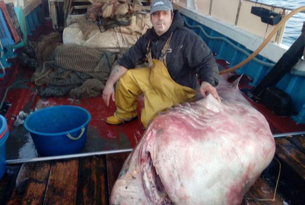 Zaccaria Di Roberto e lo squalo pescato