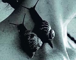 Prosegue alla Gamc il Festival Videoarte 
