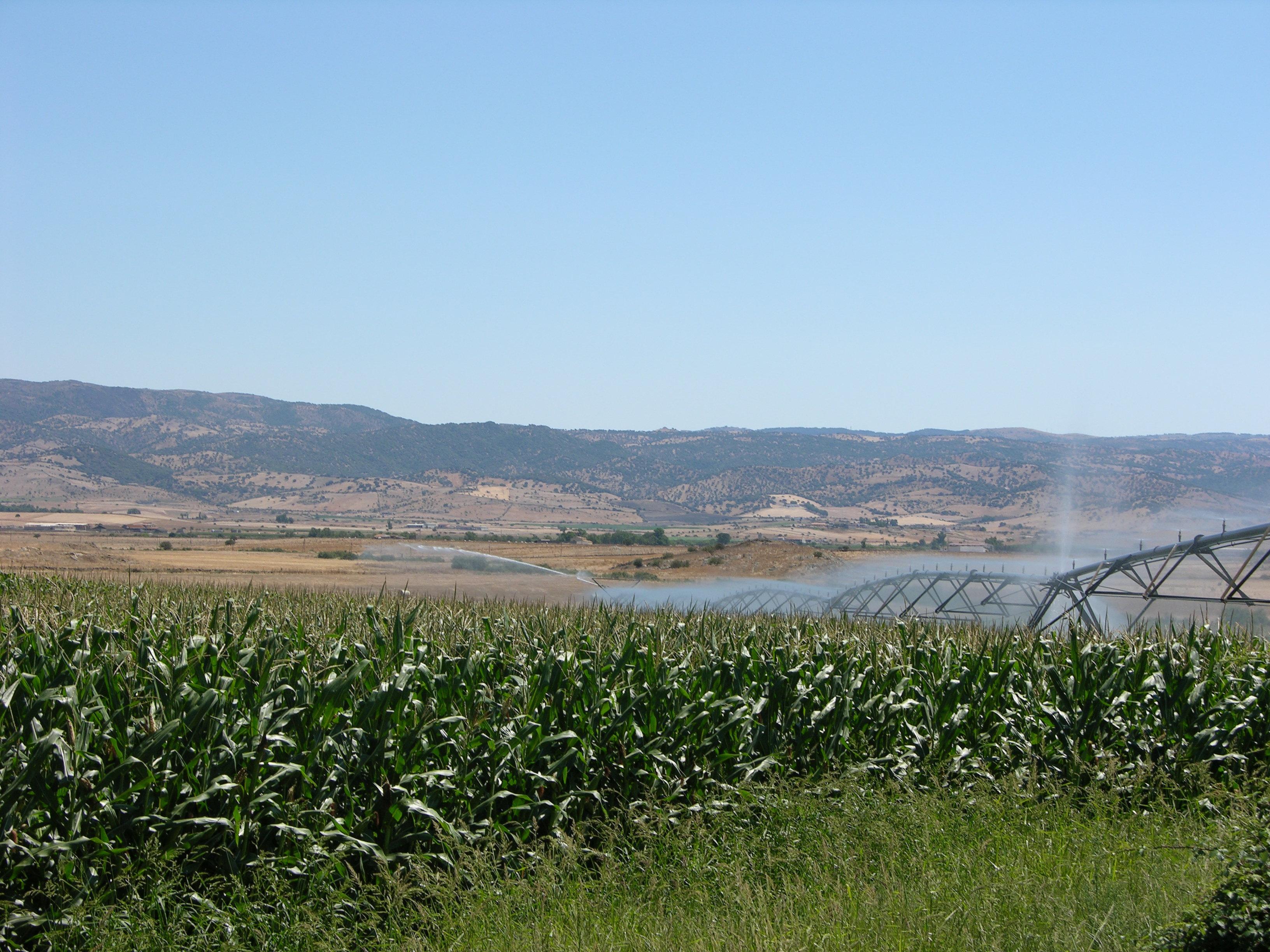 Irrigazione nelle campagne