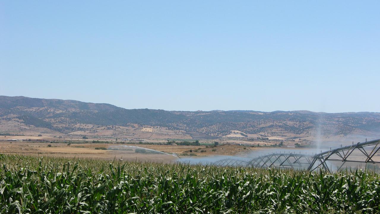 Irrigazione nelle campagne