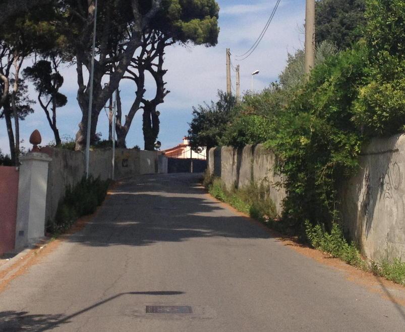 Ladri in quattro villette a Montenero, portati via oro e borse 