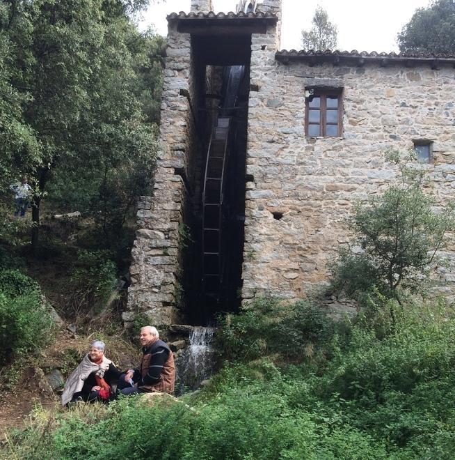 Turismo, è online il sito per promuovere Olzai 