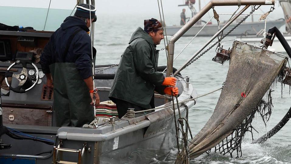 «Noi siamo regolari, non abbiamo alcun timore»