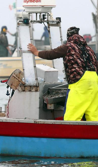 Dall’alba alla notte controlli in mare, su strade e stabulari 