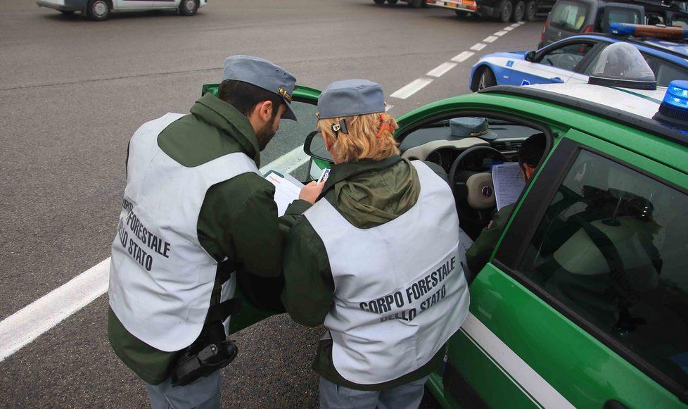Apre l’Ornitologica Controlli al casello di forestale e polizia 