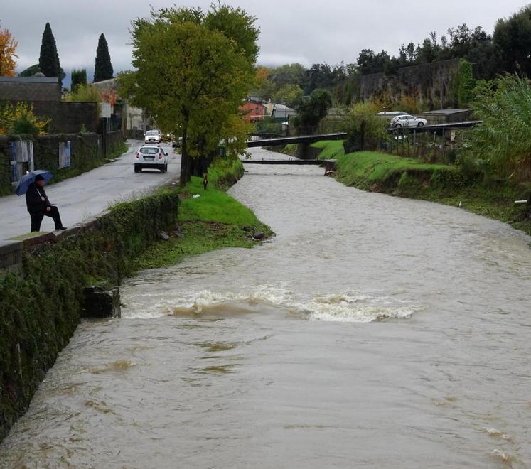 Nottata di paura lungo argini e fossi 