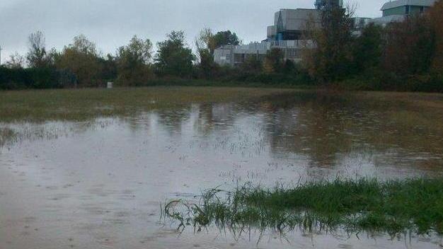 Pioggia record nel giro di poche ore Il Consorzio: i corsi d’acqua sotto controllo