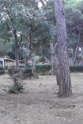 Park Albatros, le richieste di Libera