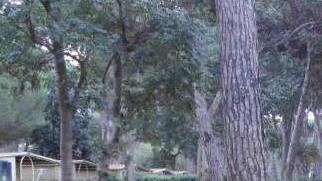 Park Albatros, le richieste di Libera