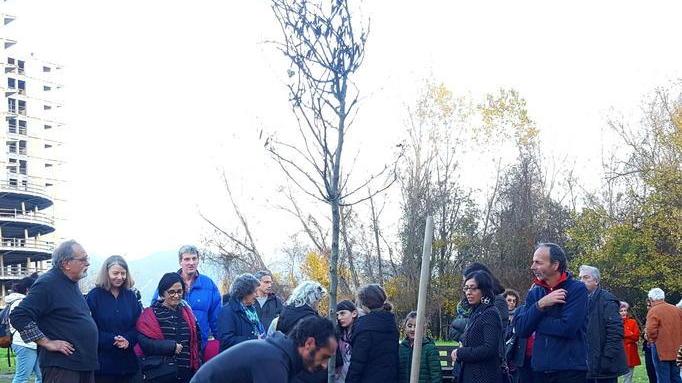Due alberi di Giuda saranno i simboli della rinascita