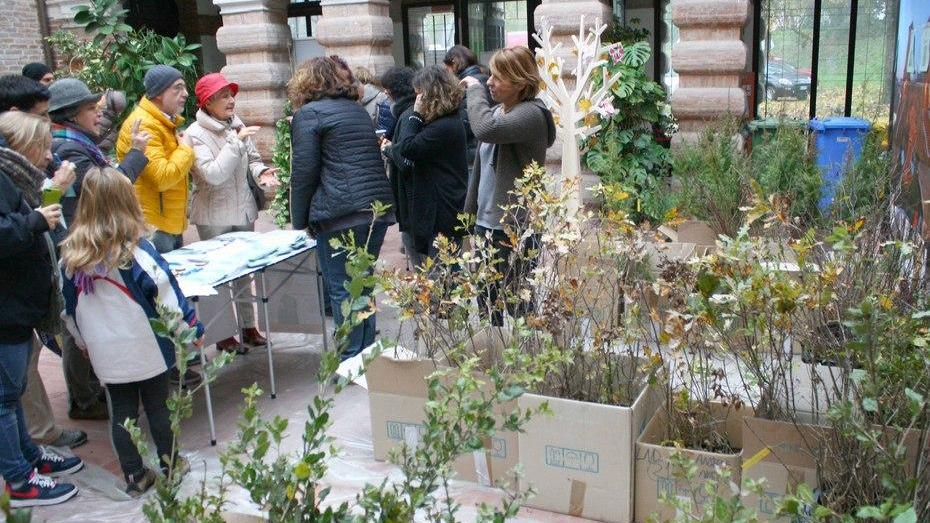 La Giornata dell’Albero