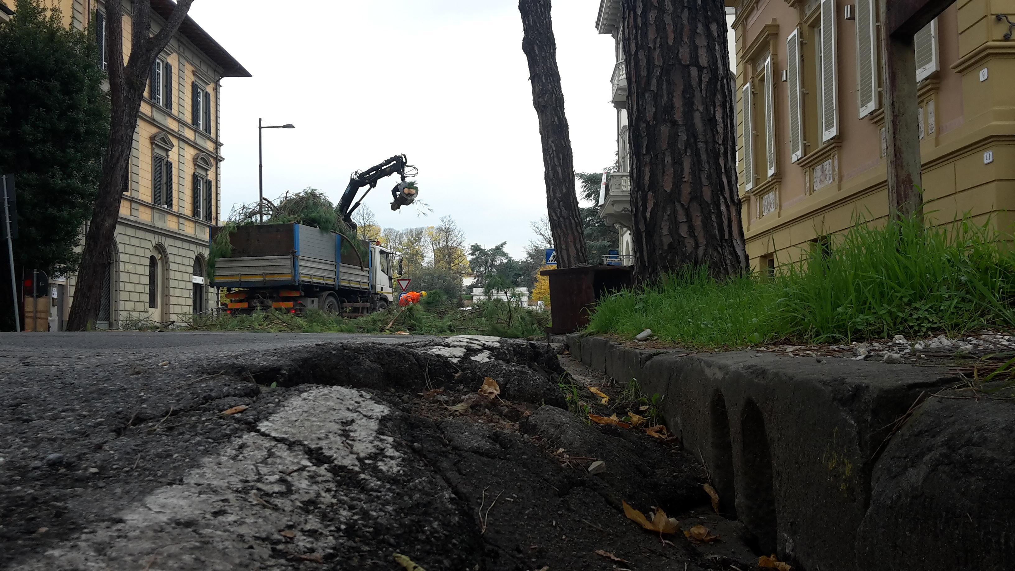 Partiti i lavori di riqualificazione di viale Cadorna 