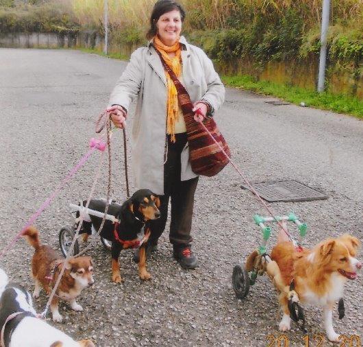 La storia di Timmi, il cane che diventa prof 