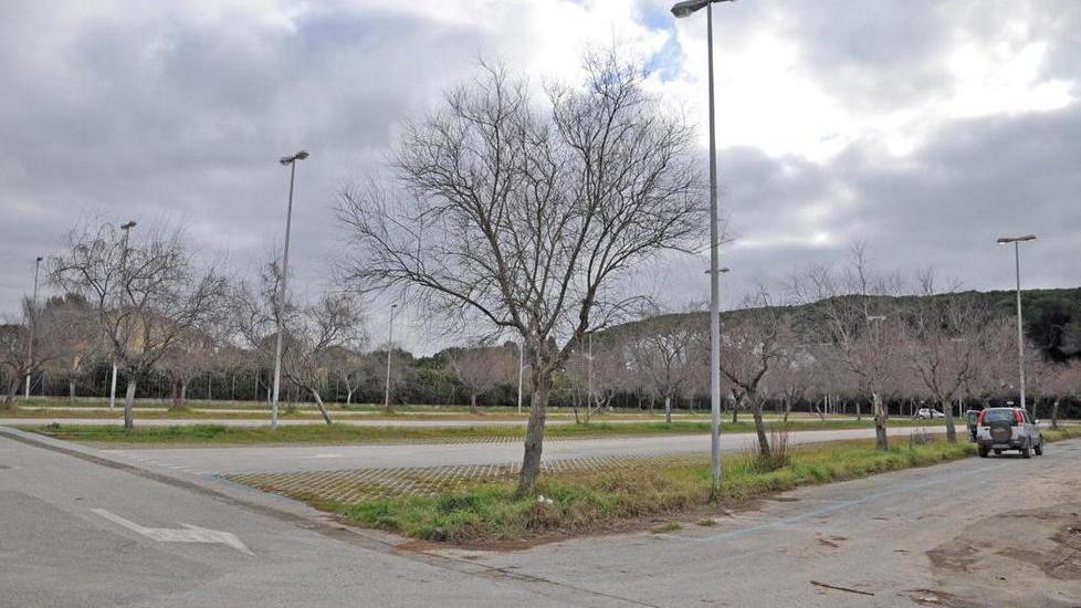 Raid sulle auto in sosta spariti portafogli e tablet