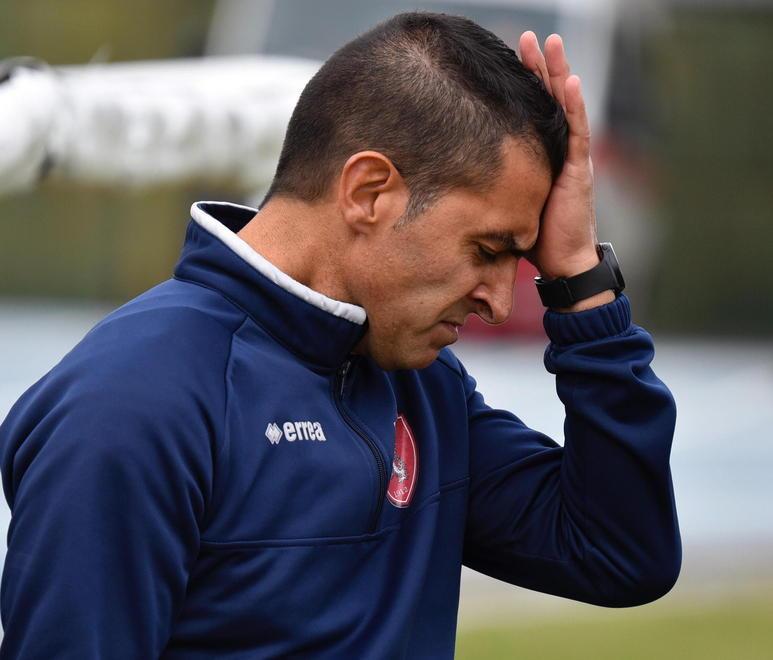 Grifone, emergenza dopo Viareggio 