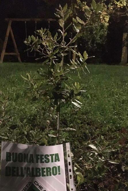 CasaPound celebra la festa dell’albero 