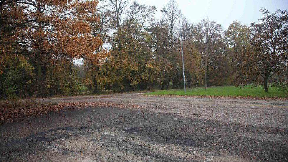 Danno alle fiamme l’auto rubata