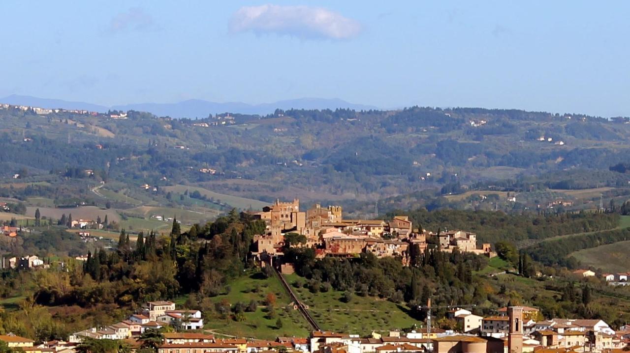 Troppi piccioni a Certaldo: scatta la sterilizzazione