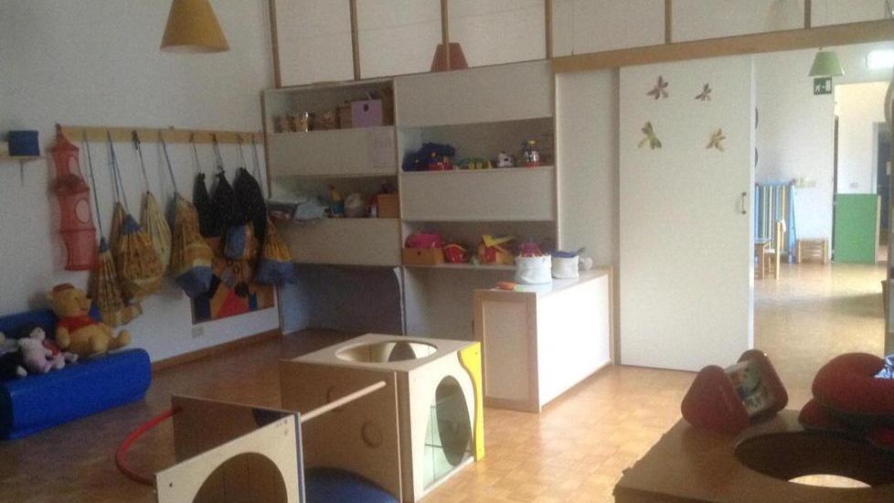 I topi scorrazzano nel nido Chiuso L’orto del lupo