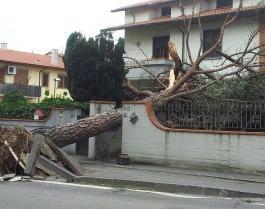 Maltempo: risarcimenti per 54 pratesi 