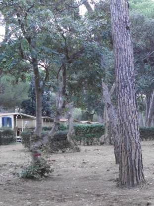 Caso Park Albatros dall’abuso ai tributi dibattito in consiglio 