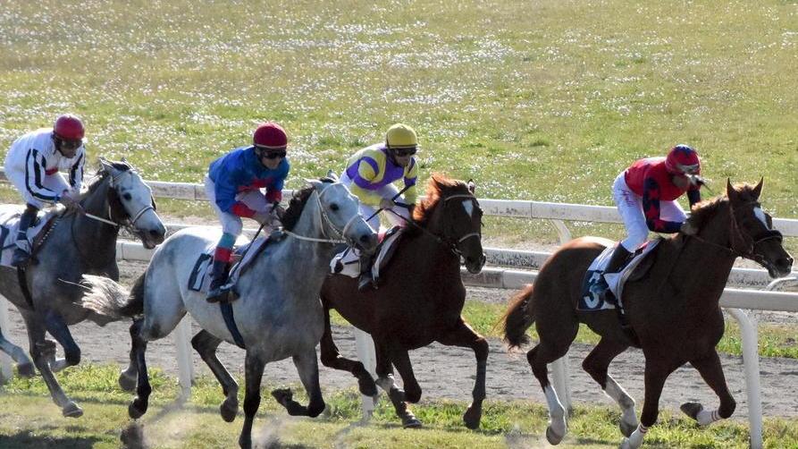 Affascinante steeple chase per l’apertura al Casalone