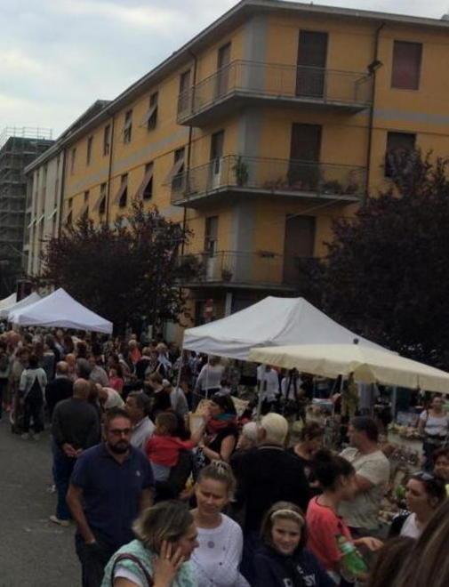 Ecco Expo Lunigiana sei giorni di mercati sapori e spettacoli 